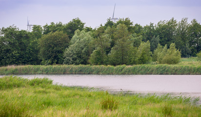 Wetlands nature Netherlands