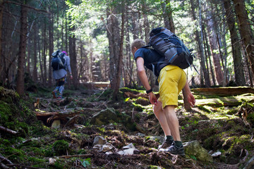 Hikers on a trail in a wood - obrazy, fototapety, plakaty