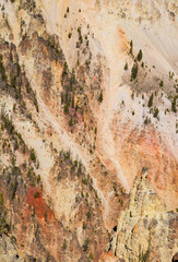 Yellowstone canyon