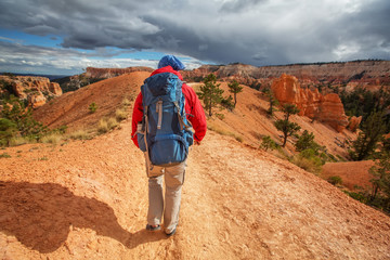 Hiker visits Bryce canyon National park in Utah, USA