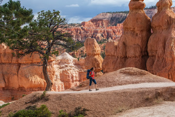 Hiker visits Bryce canyon National park in Utah, USA