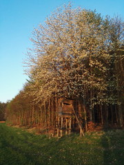 Hochsitz im Sonnenuntergang