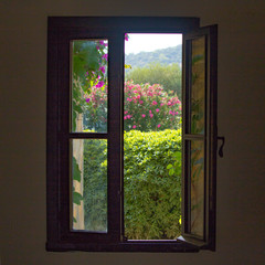 Window overlooking a flowering garden.