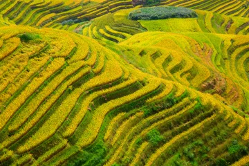 Outdoor-Kissen Longji Rice Terraces © swisshippo