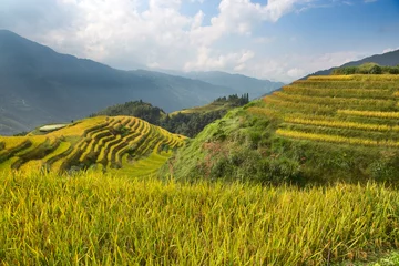 Wandaufkleber Longji Rice Terraces © swisshippo