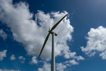 windmill