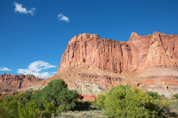 Fototapeta premium Capitol Reef