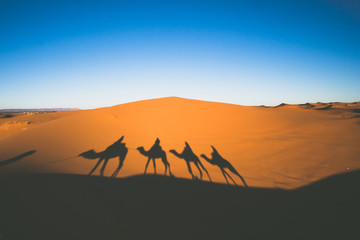 Vintage looking image of people riding camels in caravan over the sand dunes in Sahara desert with camel shadows on a sand