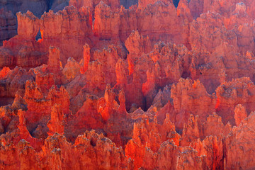 Bryce canyon