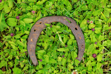 old forged horseshoe on grass