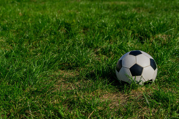 fotball or soccer black and white ball on green grass background.