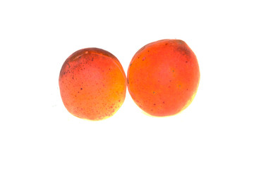 apricot isolated on white background
