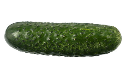 Single ripe green cucumber isolated on a white