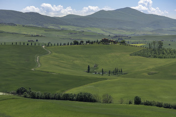 Obraz premium Toskana