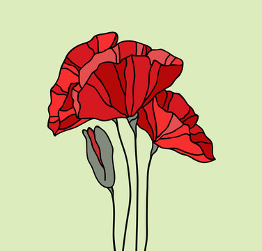 Composition with hand drawn poppies, stained glass style