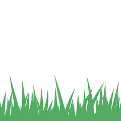 Card with green grass isolated on white background with empty space. Vector illustrator.