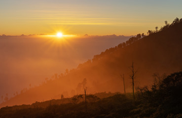 Fototapeta premium Sunrise landscape, silhouette trees and mountain range with yellow sunlight in the morning sunrise 