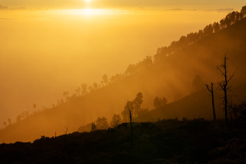 Sunrise landscape, silhouette trees and mountain range with yellow sunlight in the morning sunrise 