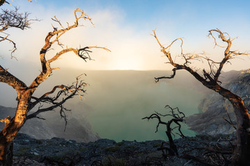 Dead trees and smoke with lake on Kawah Ijen volcanic, famous travel destination and tourist attraction in Indonesia in morning