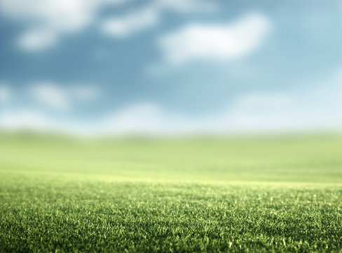 field of spring grass (shallow DOF)