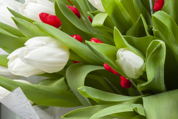 Buds of white tulips and green leaves.