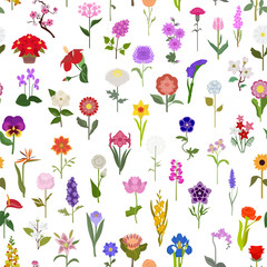 Fototapeta premium Your garden guide. Top 50 most popular flowers seamless pattern