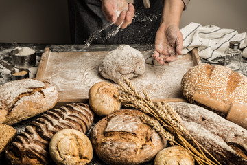 Fototapety  Bakery - baker's hands sprinkle raw dough with flour