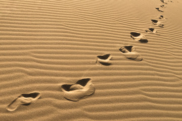 Fototapeta na wymiar Footprints On Sand Dunes. Chain Of Barefoot Footprints On Sand. Human Footprints On Sand Background. Foot Steps Walking Away.