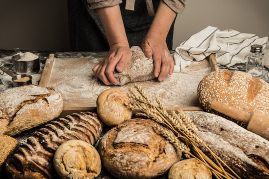 Bakery - baker's hands kneading raw dough, making bread