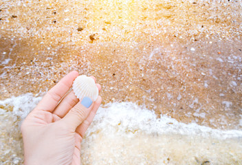 old women holding a sea shell on the beach with sunlight background