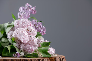 Lilac flowers are snow-white and pink and purple on a wooden cut.