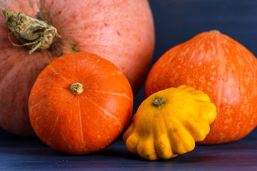 pumpkin, zucchini, patisson on a dark background.