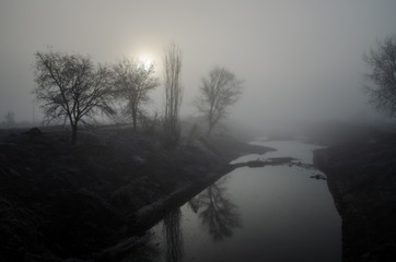 river and trees in the fog