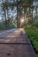 View of the wooden pier of the lake in Karelia