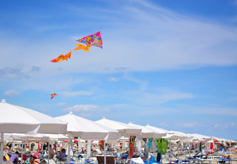 A kite flies over the beach umbrellas
