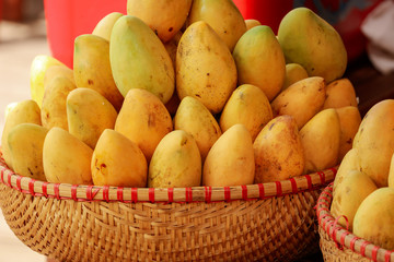 Yellow mango in a basket on the market