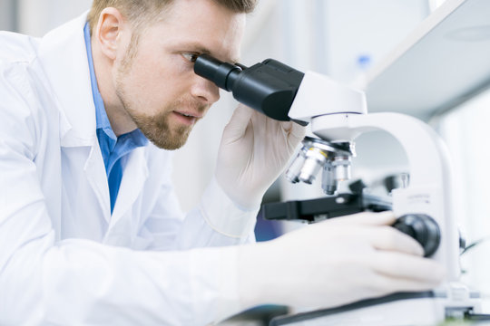 Crop view of young male scientist in laboratory coat studying nutrition properties of food and analyzing samples under microscope