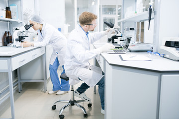 Fototapeta premium Side view of male microbiologist in glasses sitting at desk using laptop and holding hand on microscope with food samples with assistant looking at microscope eyepiece on background .