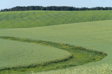 Agricultural landscape in Ukraine