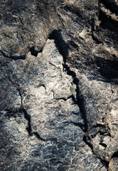 detail of a dark gray-blue rock