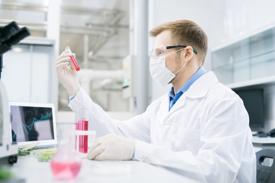 Side view of male microbiologist sitting in protective mask and glasses at desk and holding tube with pink solution of meat analyzing its nutrition properties