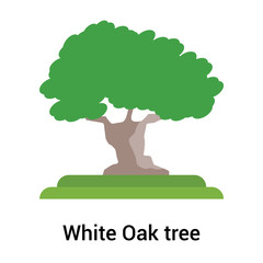White Oak tree icon vector sign and symbol isolated on white background, White Oak tree logo concept