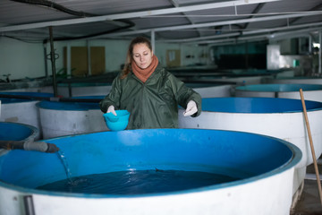 Female feeding fish on sturgeon farm