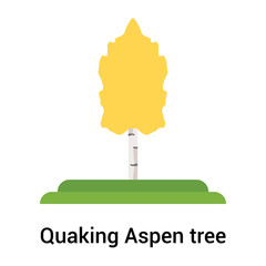 Quaking Aspen tree icon vector sign and symbol isolated on white background, Quaking Aspen tree logo concept