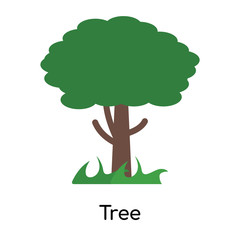 Tree icon vector sign and symbol isolated on white background, Tree logo concept