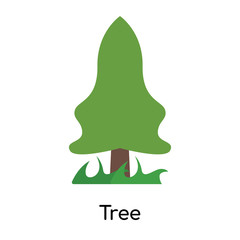 Tree icon vector sign and symbol isolated on white background, Tree logo concept