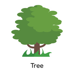 Tree icon vector sign and symbol isolated on white background, Tree logo concept