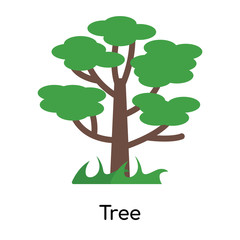 Tree icon vector sign and symbol isolated on white background, Tree logo concept