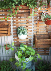 A wooden dark board on a wall with green flowers in pots on it.