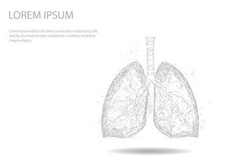 Human Internal Organ Lungs. Abstract image of a starry sky or space, consisting of points, lines, and shapes in the form of planets, stars and the universe. Low poly vector